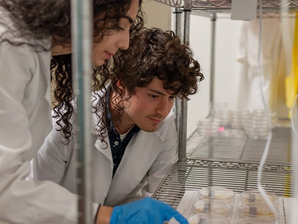 Two students in white lab coats and gloves lean in together to examine the contents of a petri dish.